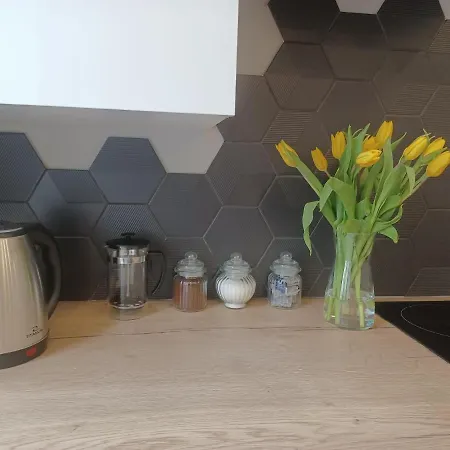 Piotrkowska 37 Daire