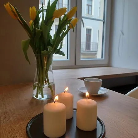 Piotrkowska 37 Appartement Łódź