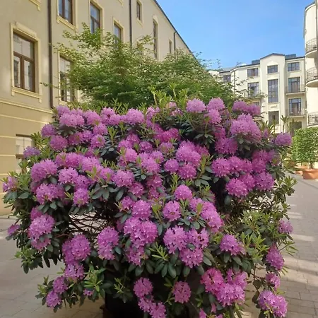 Piotrkowska 37 Apartment