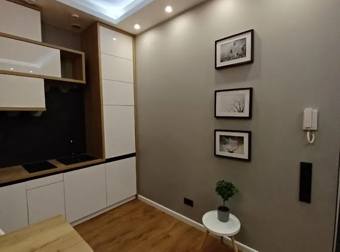 Piotrkowska 37 公寓 *