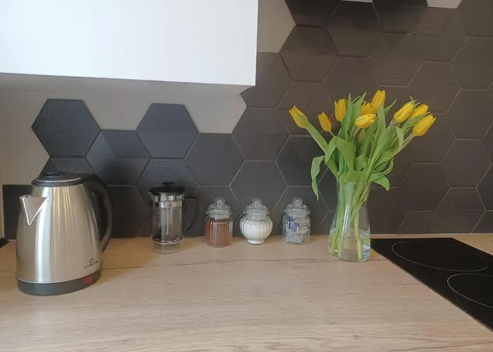 Piotrkowska 37 公寓