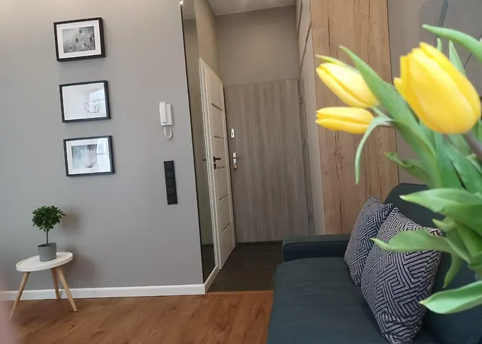 Piotrkowska 37 Lejlighed *