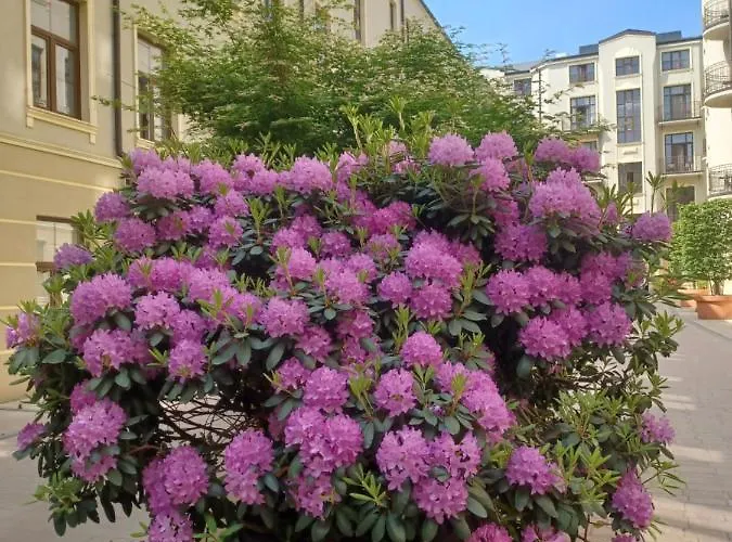 Piotrkowska 37 公寓