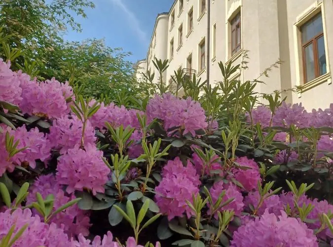 Piotrkowska 37 * Łódź